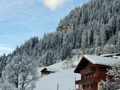 Chalet Juwel Winter
