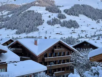 Ferienwohnung für 6 Personen (32 m²) in Adelboden 5/10
