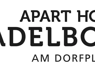 Ferienwohnung für 6 Personen (32 m²) in Adelboden 9/10