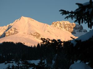 18984260-Ferienwohnung-4-Adelboden-300x225-4