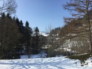 18984252-Ferienwohnung-6-Adelboden-300x225-3