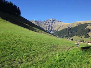 18984229-Ferienwohnung-7-Adelboden-300x225-2