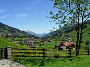 18984184-Ferienwohnung-4-Adelboden-300x225-5