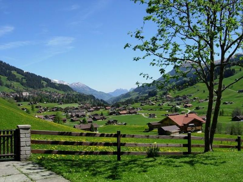 18984184-Ferienwohnung-4-Adelboden-800x600-2