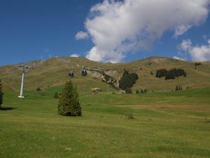 18984157-Ferienwohnung-10-Adelboden-300x225-3