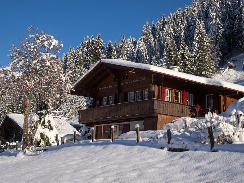 18984141-Ferienwohnung-5-Adelboden-800x600-1