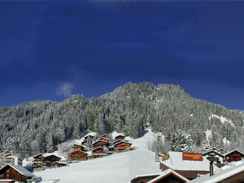 18984134-Ferienwohnung-4-Adelboden-800x600-2