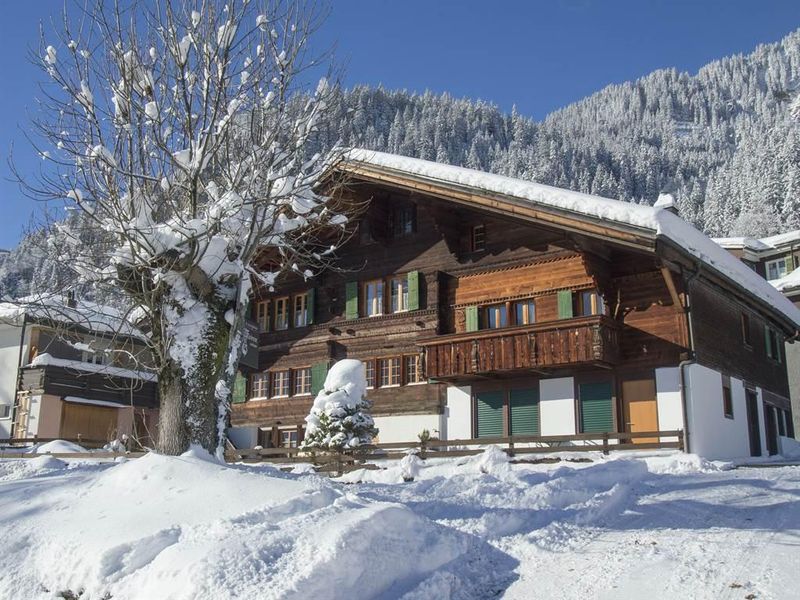 18984129-Ferienwohnung-2-Adelboden-800x600-1