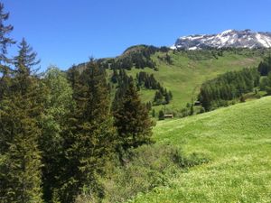 18984245-Ferienwohnung-4-Adelboden-300x225-2