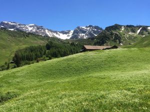 18984245-Ferienwohnung-4-Adelboden-300x225-3