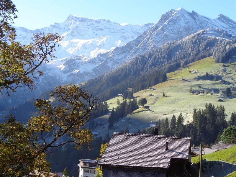 18984159-Ferienwohnung-4-Adelboden-800x600-1