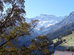 18984159-Ferienwohnung-4-Adelboden-300x225-3