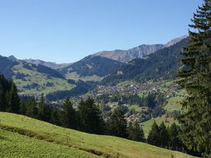 18984221-Ferienwohnung-8-Adelboden-300x225-2