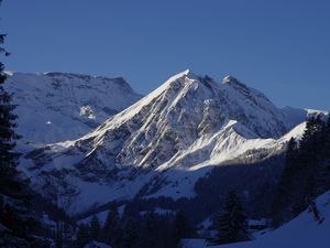 18984111-Ferienwohnung-4-Adelboden-300x225-3