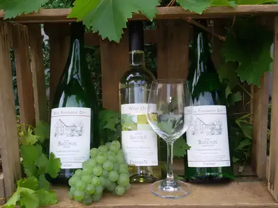 Ferienwohnung für 2 Personen (25 m²) in Adelshofen 1/4