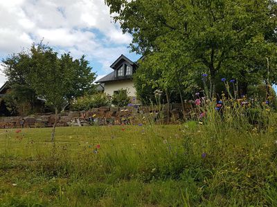 Gartenansicht Ferienwohnung EIFELWILD|Adenau