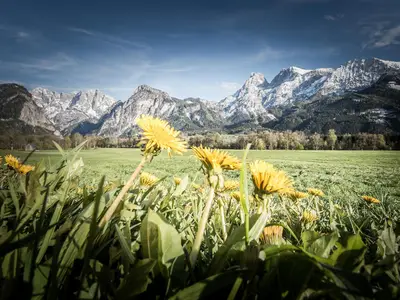 Gesäuseberge
