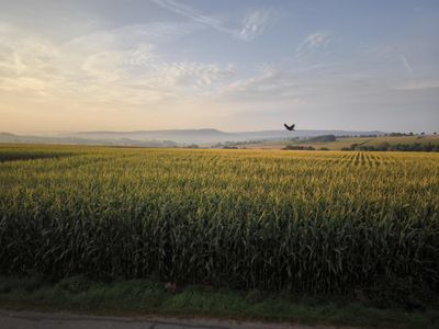 Ausblick vom Wohnzimmerfenster der Wohnung OG