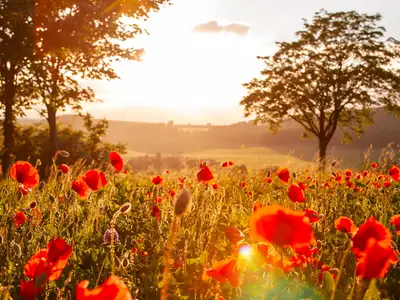 Sommer in Grießem