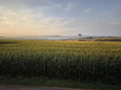 Ausblick vom Wohnzimmerfenster der Wohnung OG