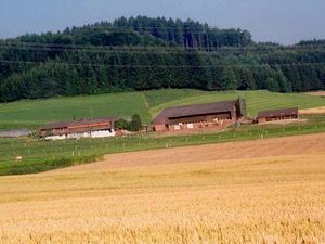 Ferienwohnung für 11 Personen (100 m²) in Aesch Zh