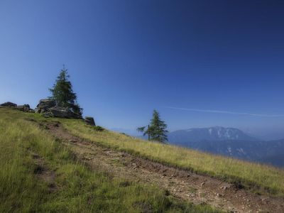 LOWRES_00000068568_Wanderweg-am-Verditz_Region-Vil