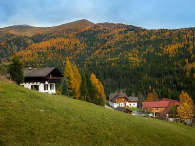 im Herbst