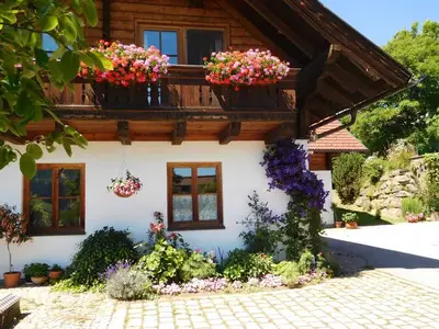 Ferienwohnung für 3 Personen (30 m²) in Afritz am See 2/10