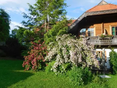 Ferienwohnung für 3 Personen (30 m²) in Afritz am See 3/10