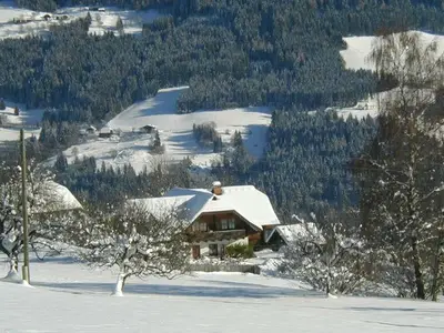 Ferienwohnung für 3 Personen (30 m²) in Afritz am See 4/10