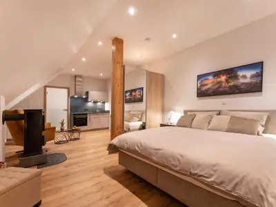 Studio mit kleinem Kaminofen im Zimmer