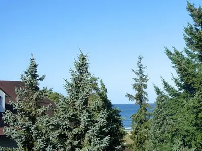 Landschaft