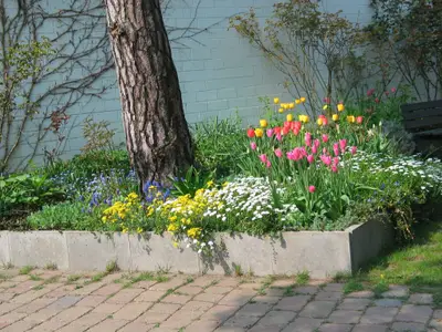 Hauptansicht