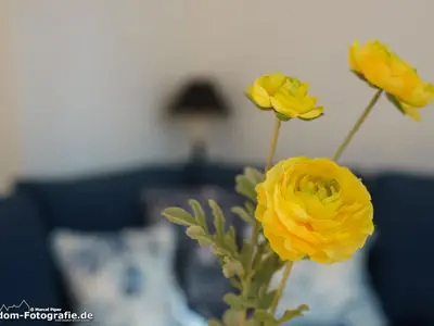 Ferienwohnung für 3 Personen (40 m²) in Ahlbeck 10/10
