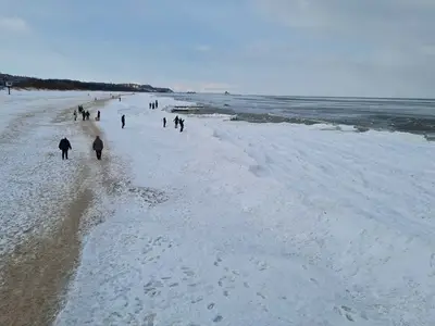 Ferienwohnung für 3 Personen (32 m²) in Ahlbeck 10/10