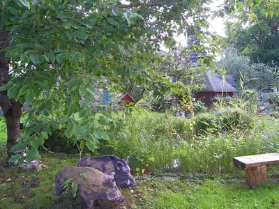 Ferienwohnung für 4 Personen (80 m²) in Ahlbeck 7/10
