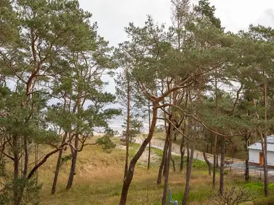Ferienwohnung für 4 Personen (63 m²) in Ahlbeck 7/10