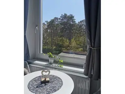 Ferienwohnung für 3 Personen (20 m²) in Ahlbeck 6/10