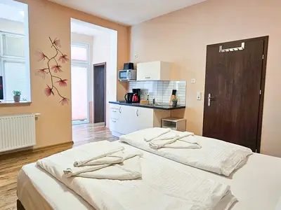Ferienwohnung für 2 Personen (28 m²) in Ahlbeck 10/10