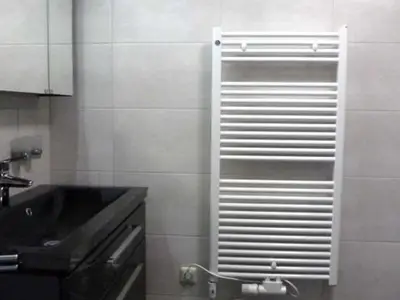 Ferienwohnung für 5 Personen (75 m²) in Ahlbeck 9/10