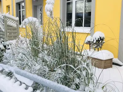 Ferienwohnung für 4 Personen (40 m²) in Ahlbeck 1/10