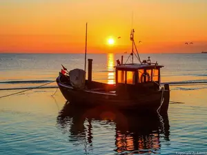 Ferienwohnung für 3 Personen (46 m²) in Ahlbeck