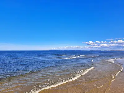 Ferienwohnung für 4 Personen (54 m²) in Ahlbeck 9/10