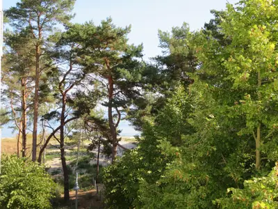 Ferienwohnung für 2 Personen (57 m²) in Ahlbeck 6/10