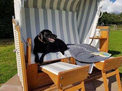 Ferienwohnung für 6 Personen (70 m²) in Ahneby 4/10