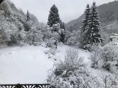 Grundstück neben dem Haus im Winter