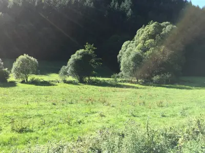 Ahrbrück Denntal
