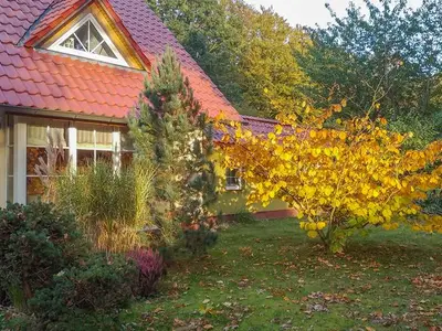 Ferienwohnung für 3 Personen (32 m²) in Ahrenshagen-Daskow 2/10