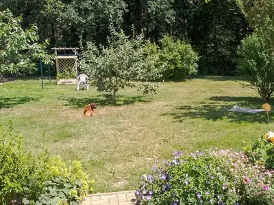 Ferienwohnung für 3 Personen (32 m²) in Ahrenshagen-Daskow 9/10