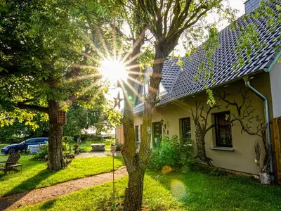 Ferienwohnung für 5 Personen (75 m²) in Ahrenshagen-Daskow 9/10